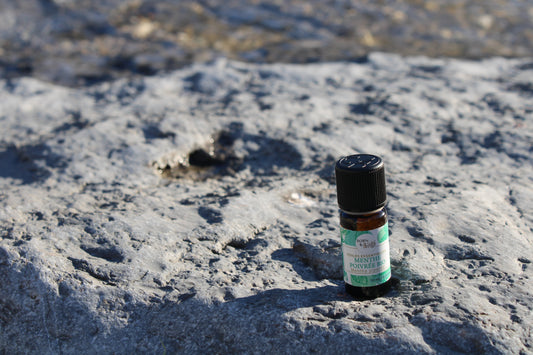 Organic peppermint essential oil 10ml